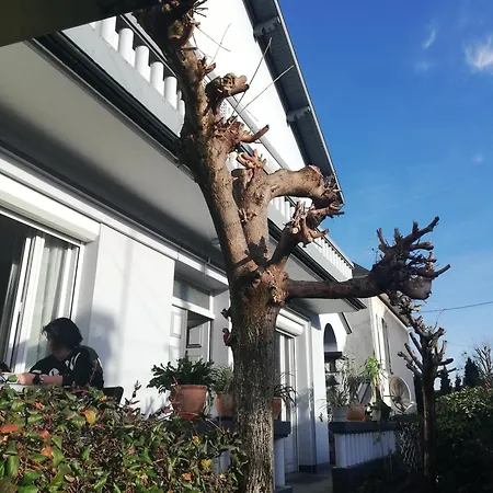 Avec Douche Homestay szállás *