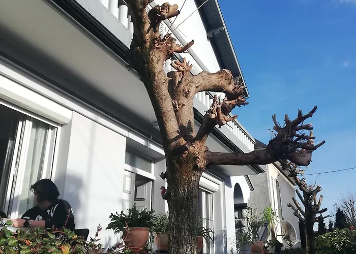 Avec Douche ホームステイ *