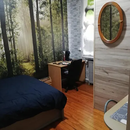 Chambre Avec Douche * Lourdes
